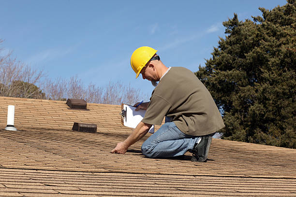 Best Roof Moss and Algae Removal  in Westwood Lakes, FL
